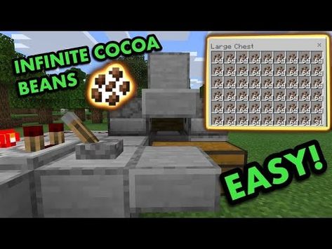 SIMPLE 1.20 AUTOMATIC COCOA BEAN FARM TUTORIAL in Minecraft Bedrock (MCPE/Xbox/PS4/Switch/Windows10) - YouTube Chevrolet Logo, Xbox, Minecraft, Cocoa