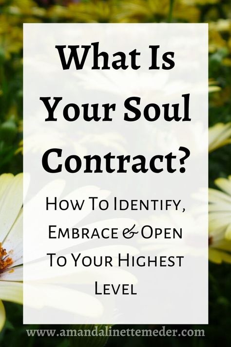 Occult Library, Soul Group, Soul Contracts, What Is A Soul, Soul Awakening, Soul Retrieval, Higher Purpose, Field Journal, Womb Healing