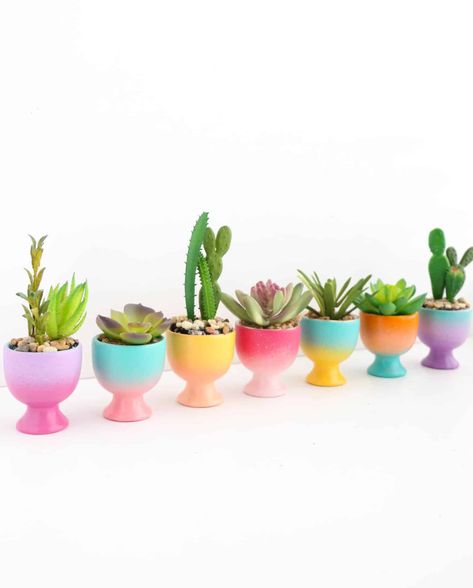 DIY Mini Gradient Egg Cup Planters - A Beautiful Mess Egg Cup Painting Ideas, Egg Ideas, Ceramic Egg Cups, Spray Paint Colors, Egg Container, Mini Cactus, A Beautiful Mess, Wall Hanging Diy, Egg Painting