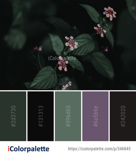 Goth Green Color Palette, Forest Green And Black Color Palette, Fairy Grunge Colour Palette, Dark Fairy Color Palette, Dark Cottagecore Palette, Apothecary Color Palette, Dark Colors Bedroom, Forest Witch Color Palette, Purple Green Black Color Palette