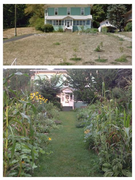 Syntropic Permaculture in Temperate Climates - Transformative Adventures Plants Meaning, Vegetables To Plant, Food Forest Garden, Natural Farming, Perennial Vegetables, Garden Workshops, Best Perennials, Permaculture Gardening, Permaculture Design