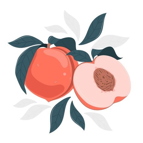 Vector Fruit Illustration, Peach Art Aesthetic, Peach Illustration Cute, Peaches Illustration, Peaches Graphic, Apricot Illustration, Peach Branding, Simple Illustration Art, Fruit Illustration Art