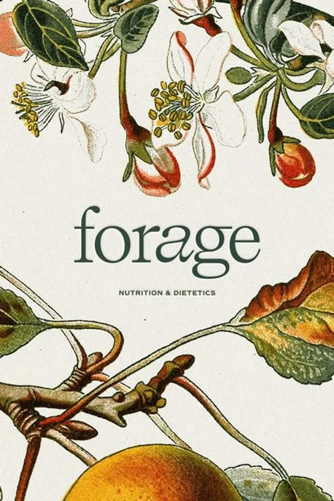 Forage Nutrition Project Showcase by Hello Magic Studio | Branding & Showit Website Design | For nutritionists, dietitians, therapists and photographers, branding business, small business branding, unique branding ideas, US branding service, New York branding service, Canada branding service, showcase project, branding project, branding design, elevated branding design, Showit website design, Forage Nutrition branding project, brand identity, branding strategy, visual branding, branding ideas Nutritionist Logo, Nutritionist Branding, Graphic Designer Studio, Logo Branding Design, Nutrition Branding, Lets Talk, Designer Studio, Instagram Branding, Aesthetic Decor