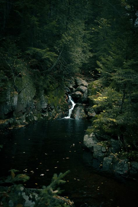 River in the middle of the wild forest in Canada