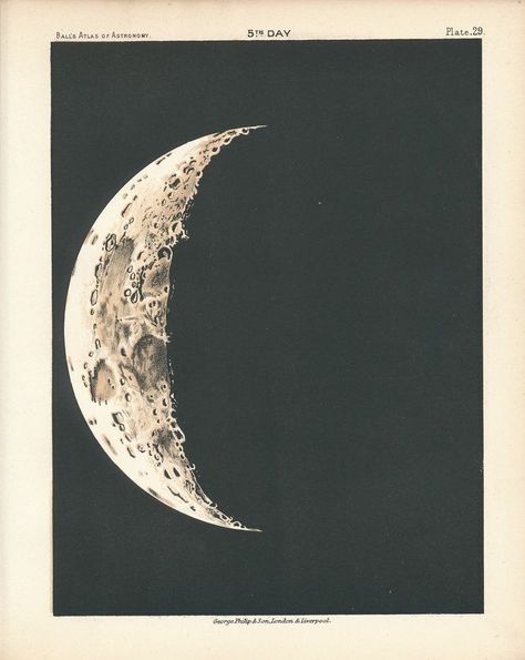 Ancient Astronomy, Vintage Astronomy Prints, Antique Astronomy Prints, The Phases Of The Moon, Phases Of The Moon, Moon Illustration, Interstellar, Antique Prints, Moon Phases