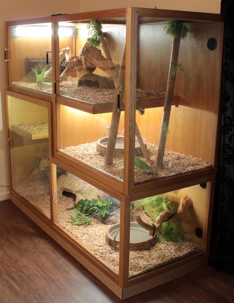 Diy Reptile Enclosure, Frilled Dragon, Bartagamen Terrarium, Kandang Hamster, Dragon Enclosure, Iguana Cage, Snake Cages, Diy Reptile, Terrariums Diy