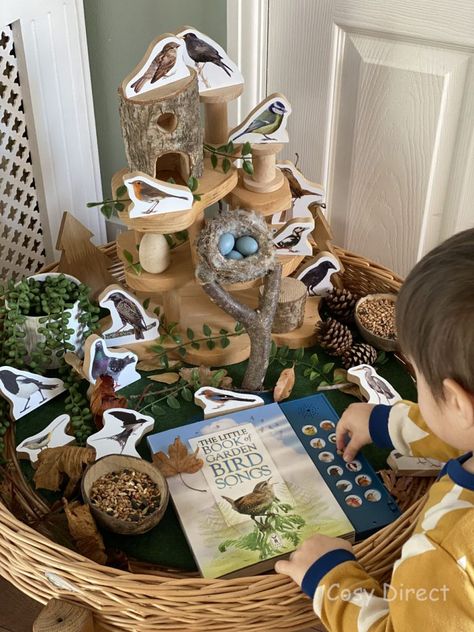 The Big Garden Bird Watch - Activities with Children | The Cosy Blog Big Garden Bird Watch Activities, Reggio Bird Provocation, Forest School Activities, Eyfs Activities, Nature School, World Birds, Tuff Tray, Aktivitas Montessori, British Wildlife