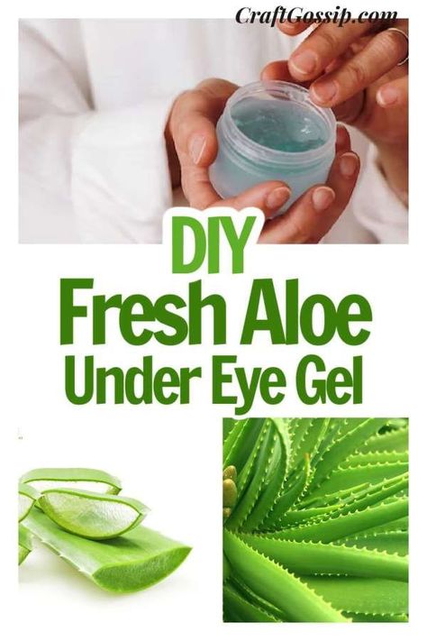 Aloe vera is a versatile plant that has been used for medicinal purposes for centuries. It’s no wonder that it has gained popularity in the beauty world as well. As someone who loves to grow my own aloe vera plant, I’m always excited to discover new ways to use it. Recently, I stumbled upon the … Read More ... Uses Of Aloe Vera Plant, What Can I Make With Aloe Vera Plant, Aloe Vera Eye Mask, Ways To Use Aloe Vera Plant, How To Use Fresh Aloe Vera, What To Make With Aloe Vera Plant, Things To Make With Aloe Vera Plant, How To Store Aloe Vera Leaves, Aloe Gel Diy