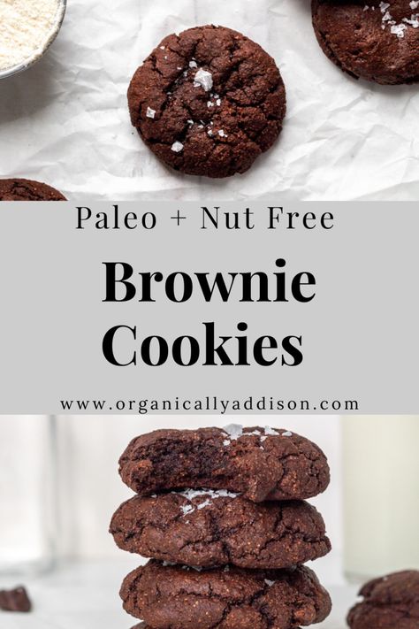 These Paleo Brownie Cookies are easy, healthy and delicious! They are Paleo, Gluten Free and Nut Free. The cookies are rich, intense, and filled with dark chocolate. A healthy dessert or baked good! #paleo #glutenfree #grainfree #nutfree #cookies #baking #recipe #recipeoftheday Nut Free Desserts, Paleo Brownies, Paleo Cookies, Paleo Recipes Dessert, Nut Free Recipes, Paleo Baking, Clean Eating Desserts, Healthy Brownies, Paleo Sweets