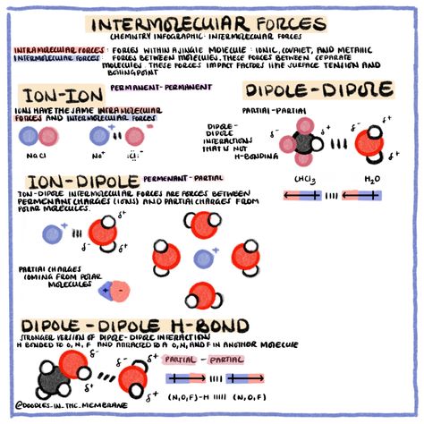 a collection of infographics that focus on topics covered in general chemistry. educational infographics are for learning purposes only, not for resale. Forces Science, Chemistry Infographic, Intermolecular Forces, Chemistry Help, General Chemistry, Chemistry Study Guide, Study Chemistry, Chemistry Education, Chemistry Classroom