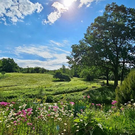 The most stunning Must-See Gardens in the northeast🌷⛲️ 1. Peggy Rockefeller Rose Garden 📍Bronx NY 2. Blithewold 📍 Bristol, Rhode Island 3. Elizabeth Park Garden���📍West Hartford CT 4. Hollister House Garden📍 Washington, CT 5. Frelinghuysen Arboretum📍Morristown, NJ • • #connecticutliving #nybucketlist #nybg #botanicgarden #newengland #summergardens #rhodeisland #njgardens #explorect #exploreconnecticut #explorenj #exploreny Rhode Island Aesthetic, Washington Ct, Master Manifestor, Bristol Rhode Island, Morristown Nj, Summer Aesthetics, London Summer, Hartford Ct, House Garden