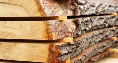 Coillte cancelled a yearly auction, normally held in October, at which sawmills bid for about half the wood they need for the succeeding year. Photograph: iStock Wood Arbor, Floating Bookshelves, Joist Hangers, Corrugated Roofing, Wood Waste, Arbour Day, Rain Barrel, Corrugated Metal, Family Handyman