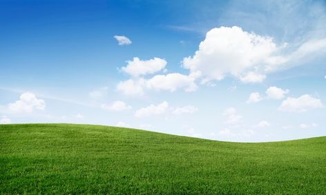 Sky Templates, My First Vlog, Green Grass Background, Rock Background, Grass Background, Spring Background, Scenery Photography, Grasses Garden, Digital Assets