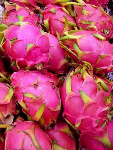 Purple Dragon Fruit, Dragon Fruit Varieties, Pink Dragon Fruit, Red Dragon Fruit, Thanh Long, Buah Naga, Fruit Du Dragon, Fresh Fruit Recipes, Pink Dragon