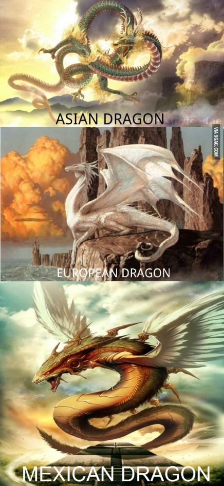 Saw your Dragons, here's mine (Quetzalcóatl) European Dragon, Types Of Dragons, Sejarah Kuno, Creature Fantasy, Asian Dragon, Dragon Images, Fantasy Beasts, Animale Rare, Dragon Pictures