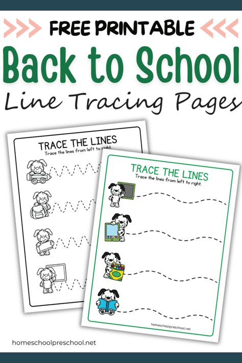 Back to School Line Tracing Worksheets for Preschoolers Line Tracing Worksheets, Line Tracing, School Lines, Worksheets For Preschoolers, Preschool Christmas Activities, Name Tracing Worksheets, Number Formation, Preschool Tracing, Tracing Sheets