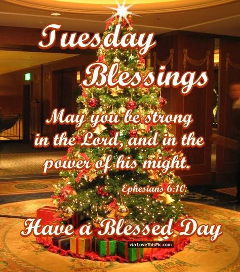 Tuesday Blessings Inspirational Christmas Quote good morning tuesday tuesday quotes happy tuesday tuesday quote tuesday blessings happy tuesday quotes tuesday blessings quotes christmas tuesday quotes inspirational tuesday quotes December Good Morning Quotes, December Good Morning, Christmas Tuesday, Christmas Morning Quotes, Tuesday Christmas, Good Morning Quotes Inspirational, Morning Quotes Inspirational, Happy Tuesday Morning, Tuesday Quotes Good Morning