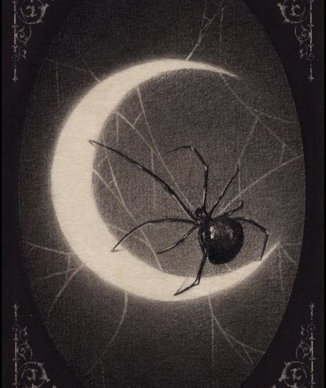 Aesthetic Spider, Moon Spider, Goth Spider, 4k Wallpaper Android, Spider Illustration, Vintage Spider, Spider Art, The Addams Family, Gothic Aesthetic