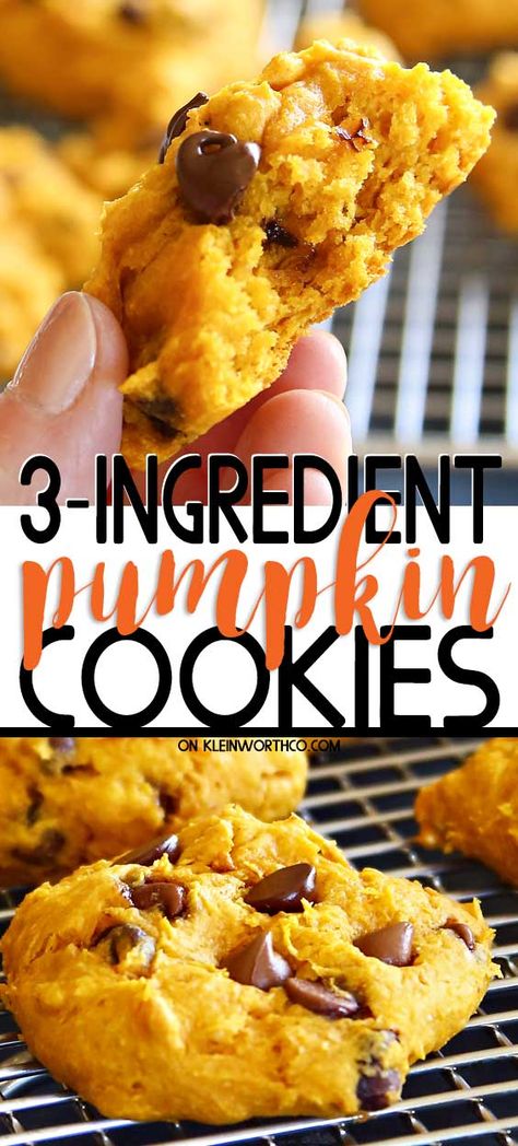 3 Ingredient Pumpkin Cookies, Canned Pumpkin Recipes Easy, 3 Ingredient Pumpkin, Pumpkin Cookies Easy, Autumn Foods, Canned Pumpkin Recipes, 3 Ingredient Cookies, Pumpkin Cookie Recipe, Pumpkin Recipes Easy