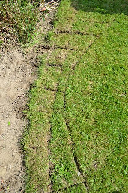 From dirt to a pallet wood walkway in the garden: start to finish! Pallet Walkway, Wood Walkway, Outdoor Walkway, Funky Junk Interiors, Landscape Edging, Lawn Edging, Garden Yard Ideas, Garden Pathway, Garden Edging