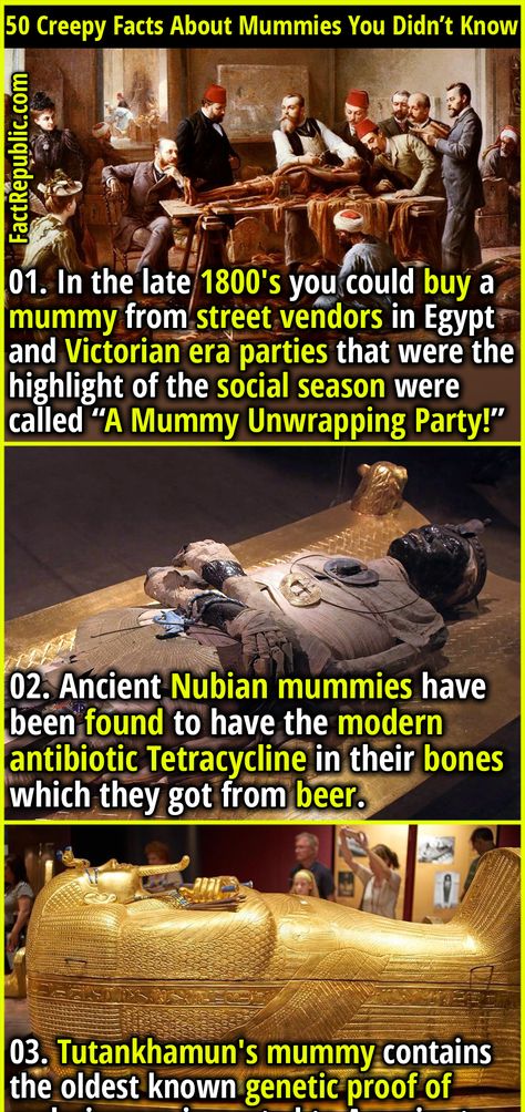 Tutankhamun Mummy, Spooky Facts, World History Facts, Creepy History, Fact Republic, Ancient Egypt History, Ancient History Facts, Scary Facts, Brain Facts