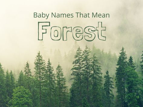 For those who have an innate love and appreciation for nature, consider one of these baby names that mean forest for your little one. Glade, Oakley, Aspen … the list is filled with beautiful and unique options. Take a look and find the perfect fit! #babynames #boynames #girlnames Names Meaning Forest, Gender Fluid Names, Forest Names, S Baby Girl Names, Baby Names Meaning, Celtic Names, Names Starting With S, Boy Name Meanings, Names Meaning