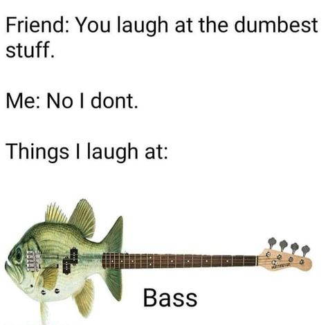 Clean Memes, Quality Memes, Band Memes, Music Memes, Dad Jokes, Animal Memes, Best Memes, Popular Memes, Bass Guitar