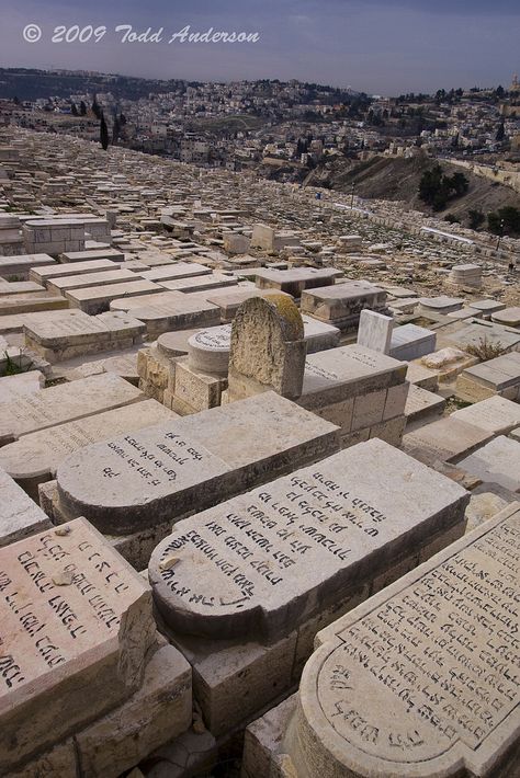 Jewish Cemetery on the Mount of Olives | This is a Jewish ce… | Flickr Muslim Cemetery, Desert Village, Esoteric Wisdom, Jewish Cemetery, Jewish Lifestyle, Jewish Synagogue, Jewish Temple, Evacuation Plan, Mount Of Olives