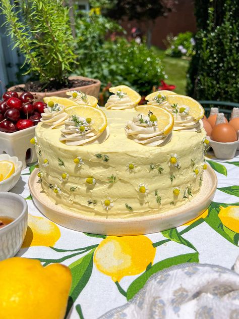 Summer Baking Recipes, Lemon Birthday Cakes, Chocolate Olive Oil Cake, Chantilly Cake, Vanilla Cream Cheese, Vanilla Cream Cheese Frosting, Lemon Layer Cakes, Chocolate Fudge Frosting, Fudge Frosting