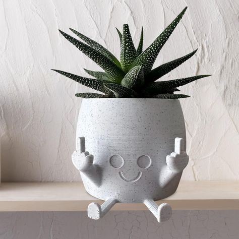 PRICES MAY VARY. Cute Statement Flower Pot: Make a statement with this adorable and quirky flower pot. Its cute design, coupled with the ability to cradle succulents, makes it a must-have for any plant enthusiast. Surprise your loved ones with a memorable gift that will undoubtedly brighten their day. Enthusiast's Delight: Tailored for plant lovers, this smiling pot is the ultimate choice for those who seek unique and eye-catching planters. Stand out from the ordinary and express your love for p Quirky Plant Pots, Small Succulent Pots, Plants Funny, Planters For Indoor Plants, Home Decor White, Succulent Planters, Funny Expressions, Ceramic Flower Pots, Small Succulents