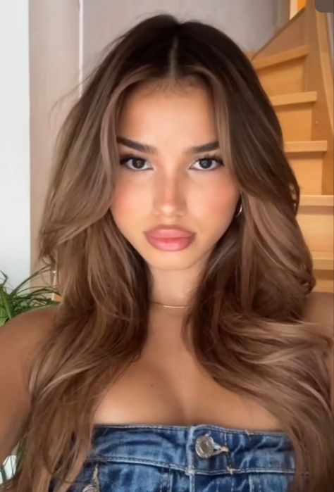 Light Brown Hair Olive Skin Tone, What Hair Color Looks Good On Tan Skin, Hairstyles For Tan Skin, Summer Hair For Brown Skin, Highlights Brown Hair Blended, Light Brown Hair Tanned Skin, Light Brown Hair With Root Melt, Light Brown Latina Hair, Honey Brown Hair Fair Skin