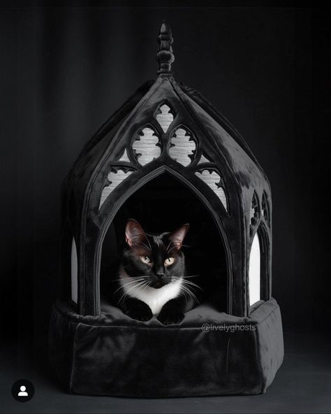 Cat Castle, Cocktail Umbrellas, Veiled Hats, Dark Home Decor, Tapestry Blanket, Dark Home, Pin Art, The Cathedral, Cat Room