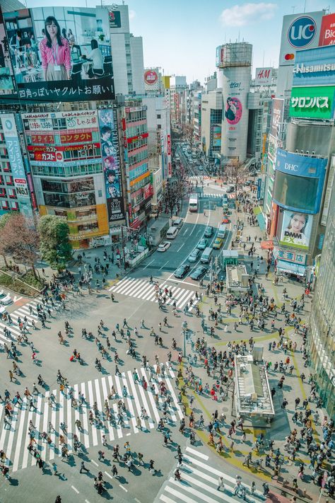 Best Places In Japan To Visit Shibuya Crossing Tokyo Places In Japan, Things To Do In Tokyo, Yoyogi Park, Shibuya Crossing, Visit Tokyo, Tokyo Skytree, Sea Of Japan, Shibuya Tokyo, Tokyo Tower