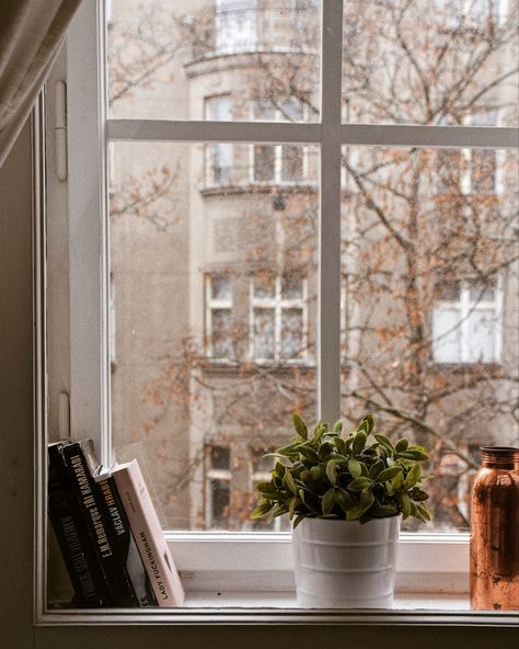 #window #decoration #decor #bookshelf #books #windowdecoration #homedecorideas #homemade #houseplants Decorate Window Sill, Plant Window Sill, Fall Windows, Window Sill Decor, Decor Bookshelf, Industrial Windows, Plant Window, Window Decoration, Book Decor