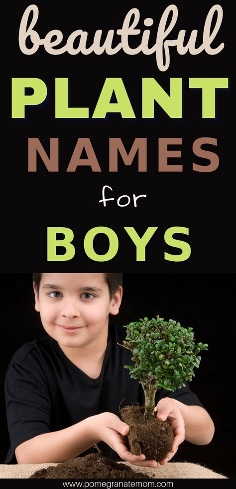 Plant names for boys inspired by flowers, trees, herbs. Nature-inspired earthy plant baby names for your boy. via @pomegranatemom Tree Names For Babies, Tree Names For Boys, Plant Names For Boys, Flower Names For Boys, Plant Baby Names, Nature Boy Names, Nature Baby Names, Nature Names For Boys, Earthy Boy Names