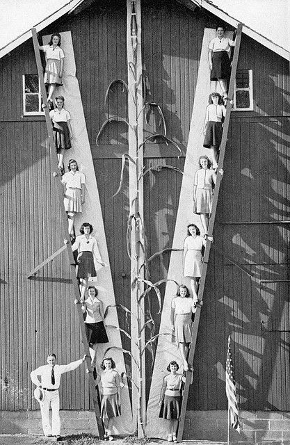 From The State of Iowa Welcomes You, Fourth Edition, 1943, p. 37. Title: Iowa, "The State Where the Tall Corn Grows." Text above photograph:  Don Radda of Washington, Iowa, last year [1942] raised the world's tallest corn, a giant stalk measuring 26 feet 10 inches. It won first place in the WHO National Tall Corn Contest held in Des Moines, September 5th. Iowa Farms, Iowa State Fair, Corn Stalks, Quad Cities, Antique Images, Iowa State, The Who, State Fair, Water Tower