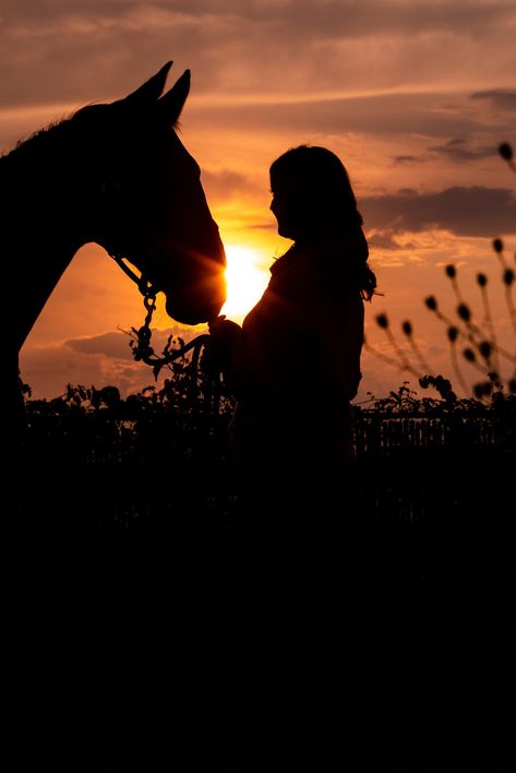 Horses For Wallpaper, Horse Photography Poses Photo Shoots, Horse And Rider Pictures, Photo With Horse Ideas, Fall Horse Photoshoot, Photo Shoot With Horses, Horse With Girl, Horse And Rider Photography, Photos With Horses