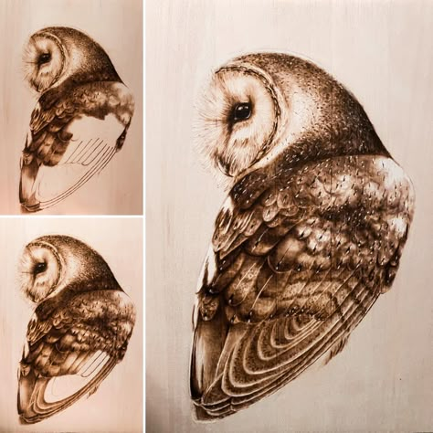 Wood Burned Barn Owl piece work in progress. This is what the piece looked like as I was finishing it up. The wings really bring this beautiful guy to life!