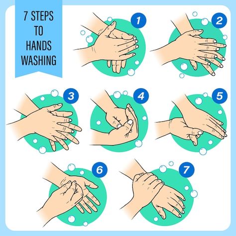 7 steps to washing hands hand sketch sho... | Premium Vector #Freepik #vector #dirty-hands #hand-hygiene #hygiene #clean-hands Hand Washing Steps, Hand Hygiene Posters, Hand Washing Poster, Health And Safety Poster, Hands Drawing, Medical Wallpaper, Cartoon Butterfly, Washing Hands, How To Prevent Cavities