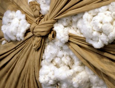 cotton Cotton Plantations, Cotton Gin, Cotton Fields, Spinning Wool, Cotton Club, Cotton Plant, Sweet Home Alabama, Gone With The Wind, Artisan Craft