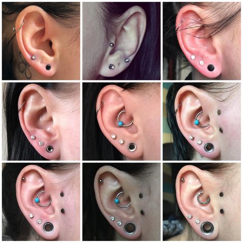 My ear stretching journey from 1.6mm/14 gauge to 8mm/0 gauge Ear Stretching Sizes, Stretching Ears, Goth Corsets, Ear Piercing Combinations, Skeleton Logo, Pug Earrings, Earrings Gauges, Misfits Skull, Jewelry Earings