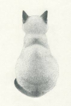 drawing of cat from behind Beautiful Pencil Drawings, Cats Drawing, Drawing Faces, Watercolor Cat, Cat Eyes, Cats Illustration, Arte Animal, Drawing Tutorials, Cat Painting