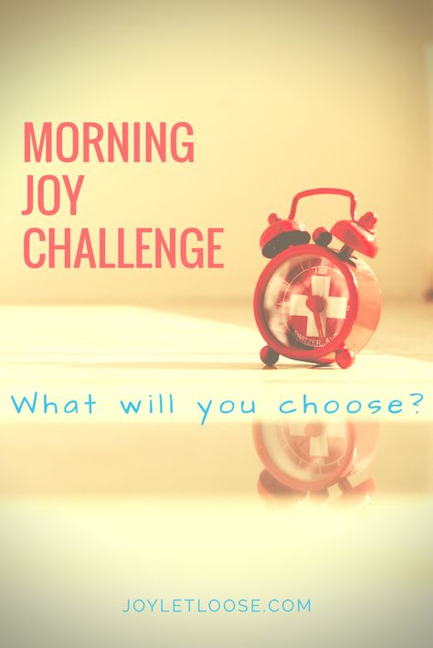 Finding Joy In Life, Joy Comes In The Morning Quotes, Joyful Home, Cultivating Joy, Earthy Modern Living Room, Smart Sayings, Joy In The Morning, Romans 8 39, Modern Living Room Design Ideas