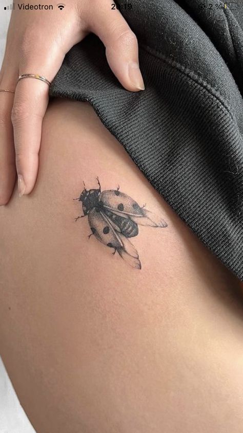 Three Ladybugs Tattoo, Earthy Small Tattoo, Small Insect Tattoos For Women, Delicate Ladybug Tattoo, Flying Animal Tattoo, Realistic Ladybug Tattoo, Small Beetle Tattoo, Lady Bird Tattoo, Insect Tattoo Ideas