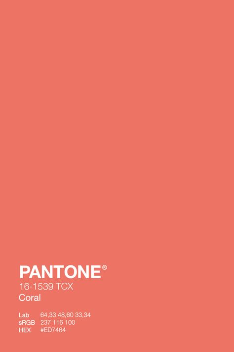 Coral Aesthetic Color, Colour Palette Coral, Coral Color Aesthetic, Color Palette Coral, Coral Aesthetic, Coral Color Palette, Coral Palette, Coral Pantone, Coral Colour Palette