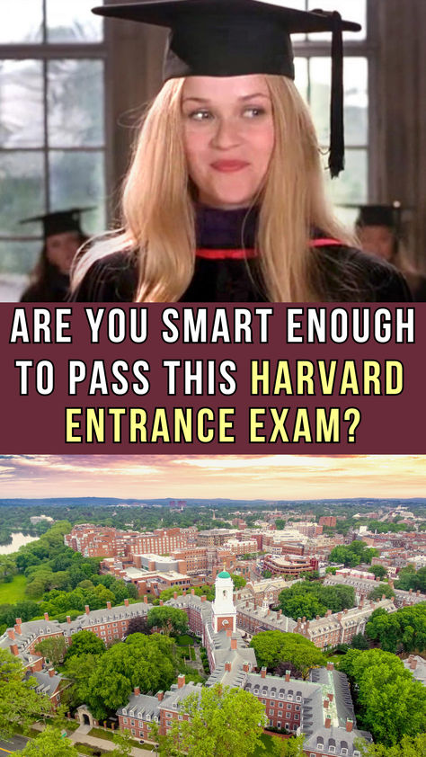 Will you pass? Take the quiz to find out. How To Not Get Bored While Studying, How To Get Into Ivy League, B Grades Aesthetic, Harvard Vs Yale, How To Study For Tests, What To Study When Bored, How To Pass Out, What College Should I Go To Quiz, Academic Obsession