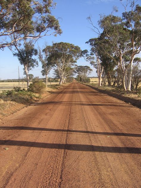 Rural Charm -- Australian Country Road lined by Gum Trees Rural Australian Homes, Australian Nature Aesthetic, Australian Country Aesthetic, Aussie Country Aesthetic, Australian Outback Aesthetic, Australian Station, Australian Aesthetic, Australian Countryside, Australian Country Houses