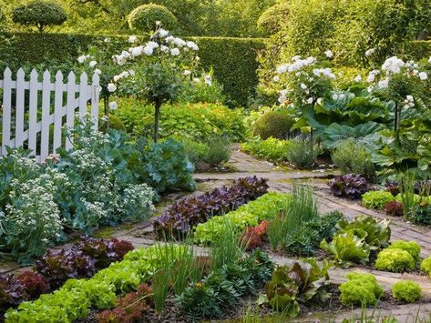 Edible Garden Design, Potager Garden, Fall Garden Vegetables, Backyard Vegetable Gardens, Garden Design Layout, Edible Landscaping, Big Garden, Vegetable Garden Design, Front Yard Garden