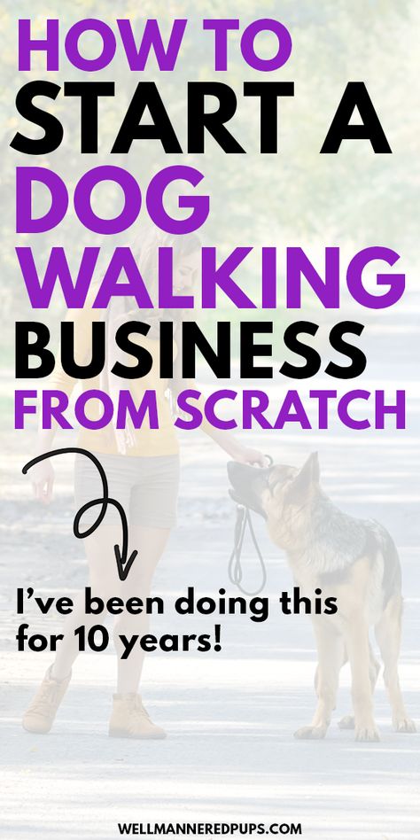 Dog Walking Flyer, Dog Sitting Business, Dog Daycare Business, Pet Care Business, Pet Sitting Business, Dog Walking Services, Dog World, Dog Walking Business, Dog German