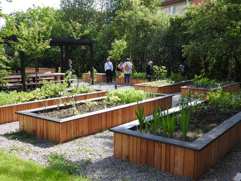 Krakow Community Gardens - The Innovation in Politics Institute Tools Tattoo, Gardener Aesthetic, Garden Nails, Community Gardens, Natural Fence, Allotment Gardening, Urban Agriculture, Landscape Model, Community Garden